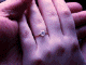 Nuptials Site
